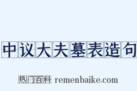 中议大夫墓表造句是什么意思的图片